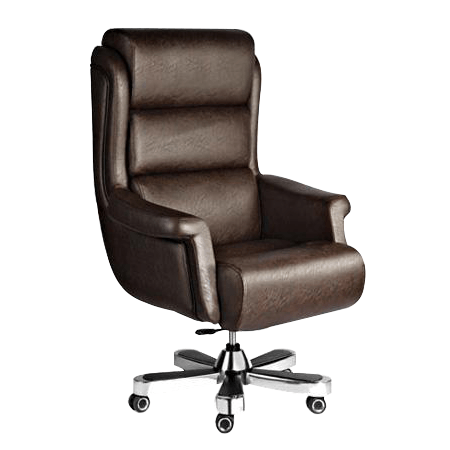 Ceo Chairs supplier in Delhi & NCR , India