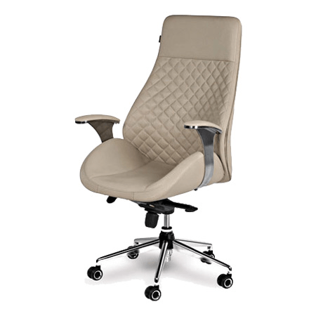 Ceo Chairs supplier in Delhi , Noida and NCR