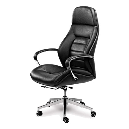 Ceo Chairs supplier in New Delhi