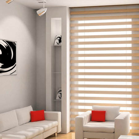 Zebra Blinds